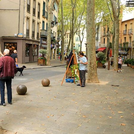 La Cigogne Apartman Céret Kültér fotó