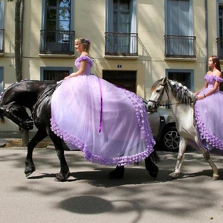 La Cigogne Apartman Céret Kültér fotó