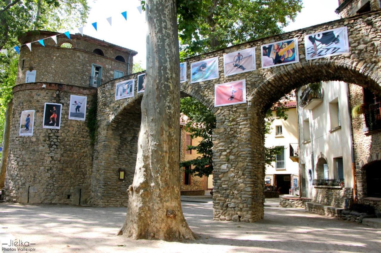 La Cigogne Apartman Céret Kültér fotó
