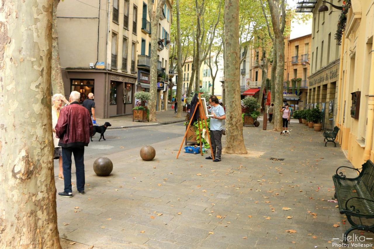 La Cigogne Apartman Céret Kültér fotó