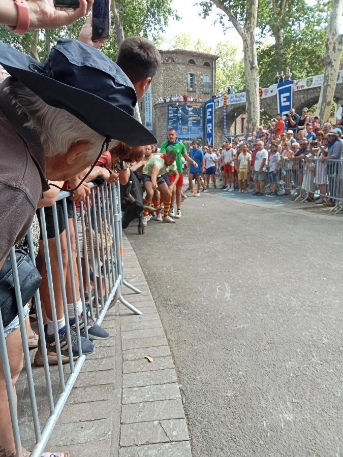 La Cigogne Apartman Céret Kültér fotó