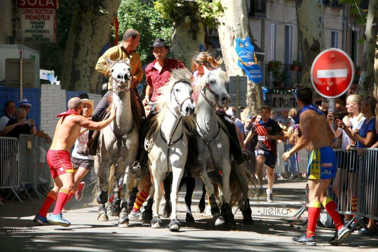 La Cigogne Apartman Céret Kültér fotó