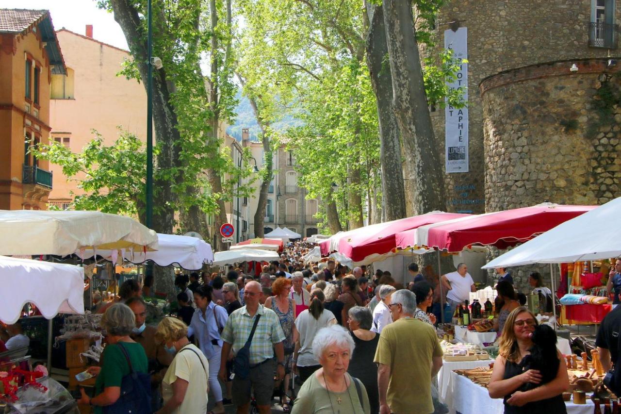 La Cigogne Apartman Céret Kültér fotó