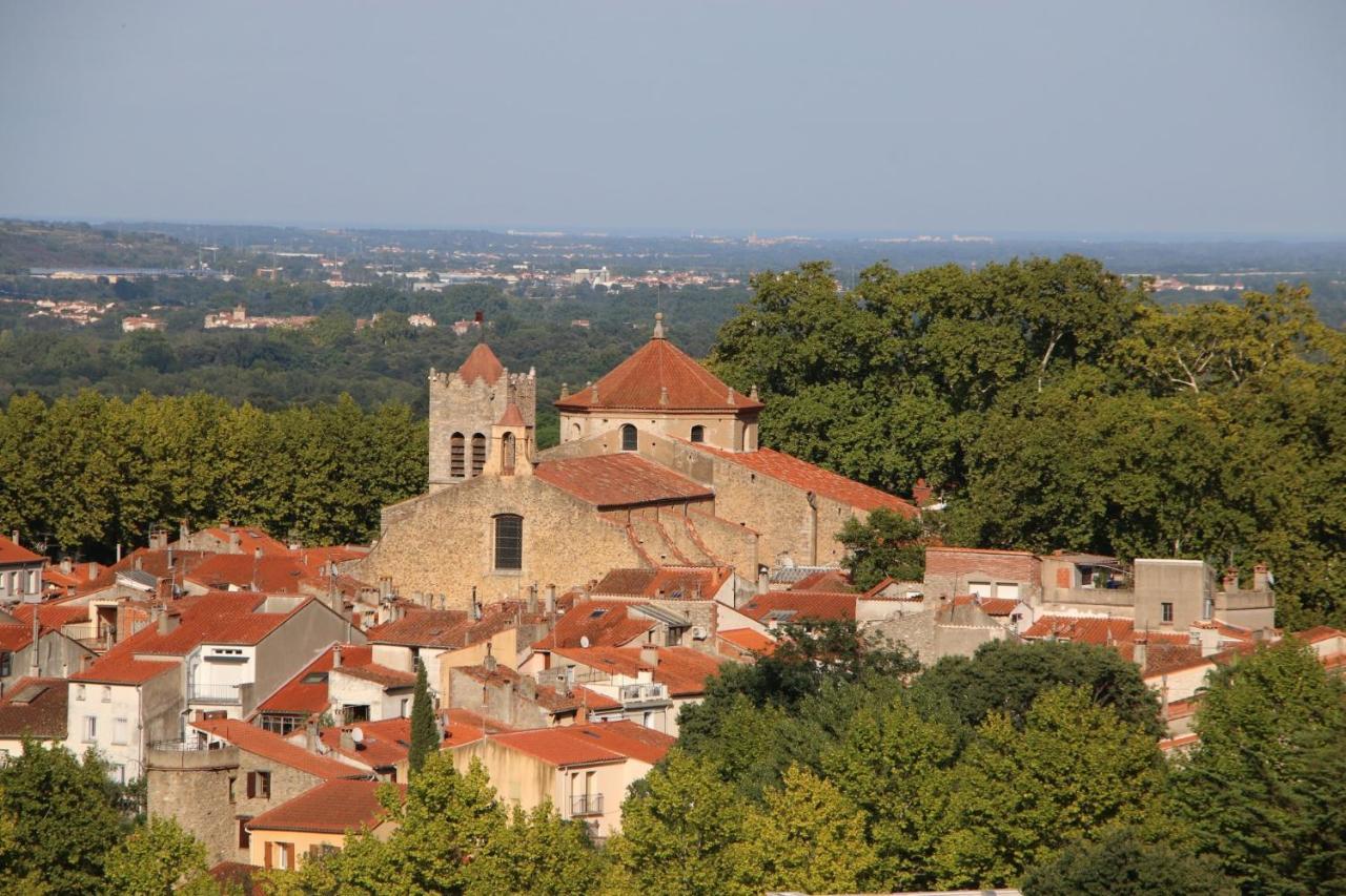 La Cigogne Apartman Céret Kültér fotó