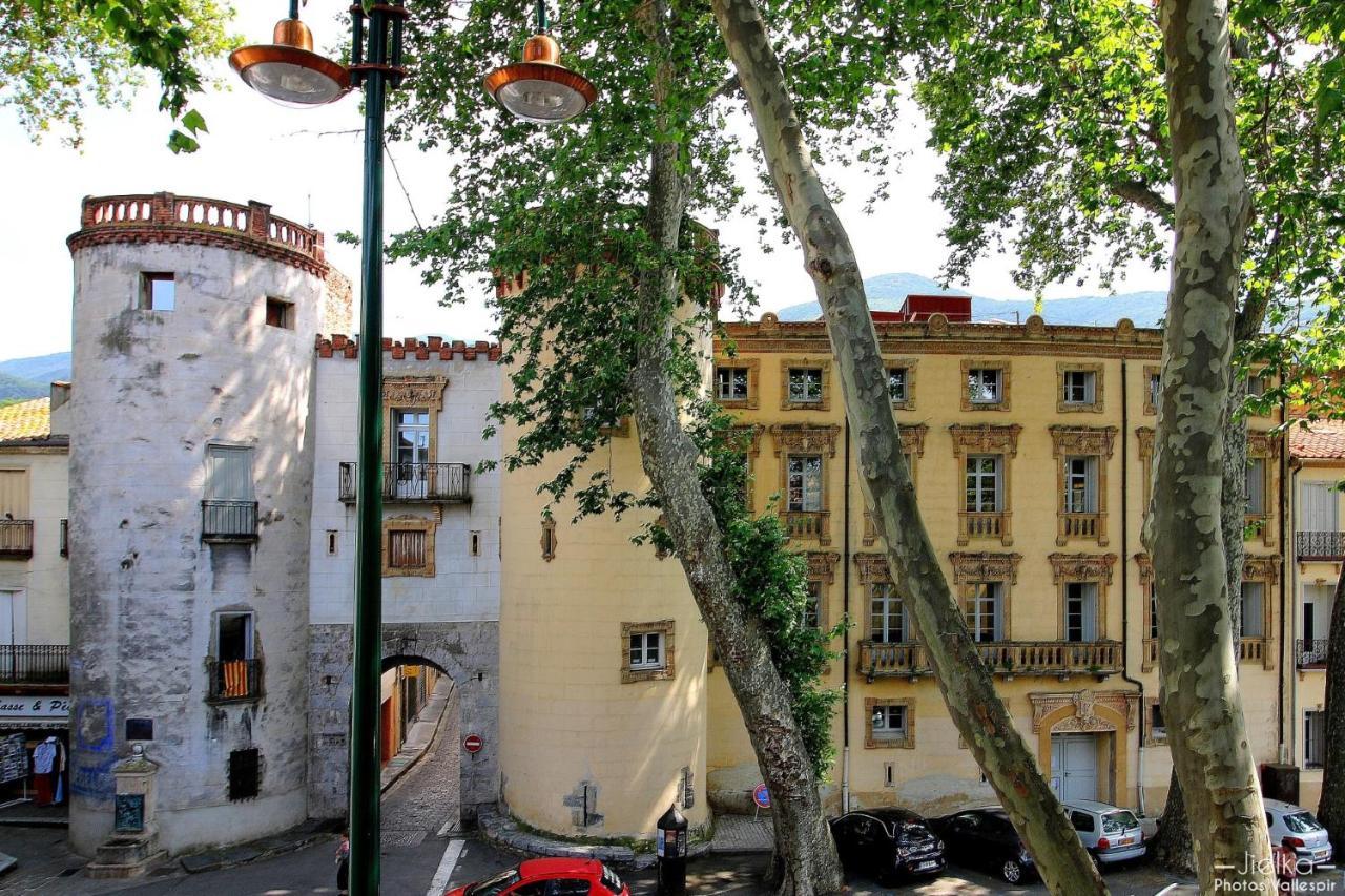La Cigogne Apartman Céret Kültér fotó